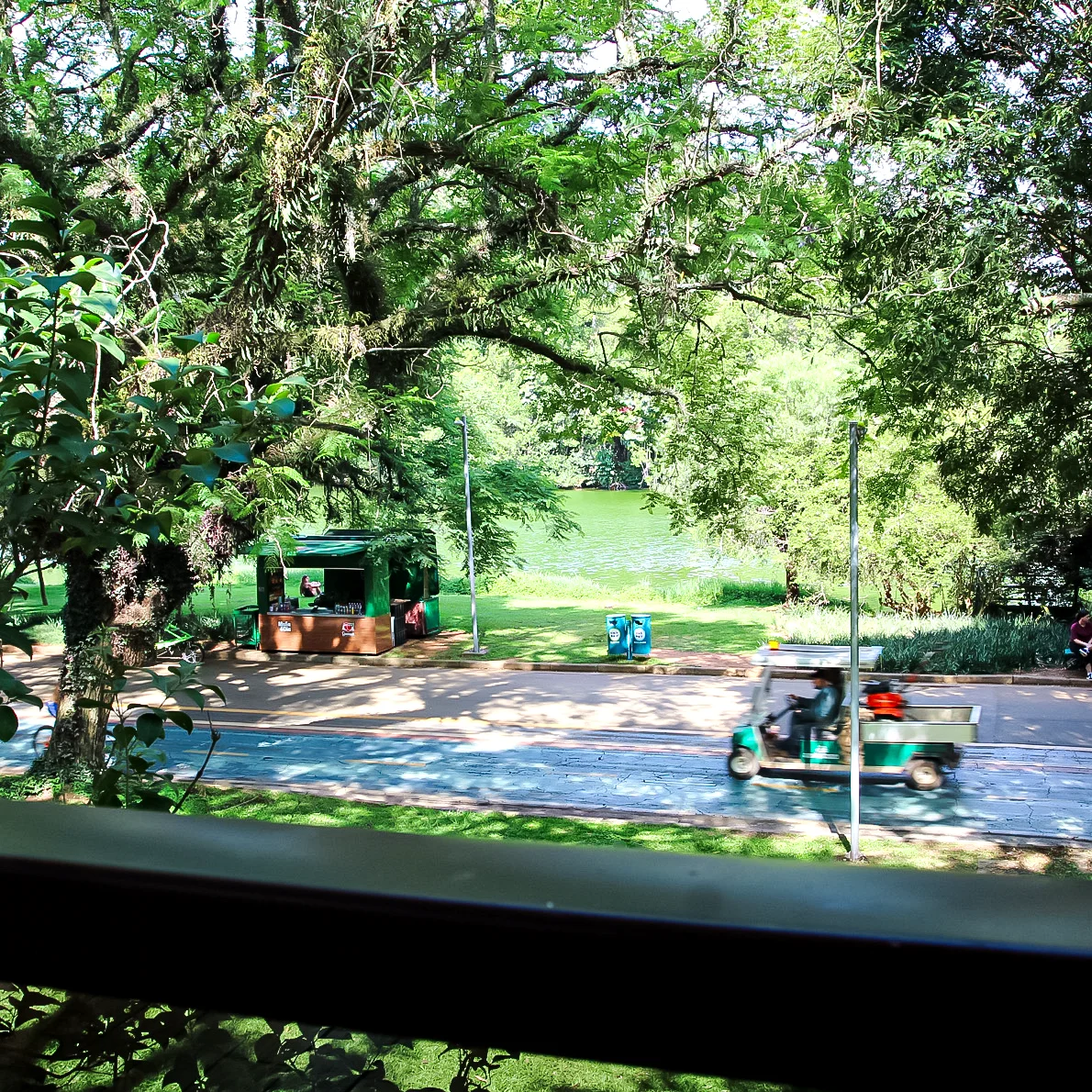 Vista do parque em frente à clínica